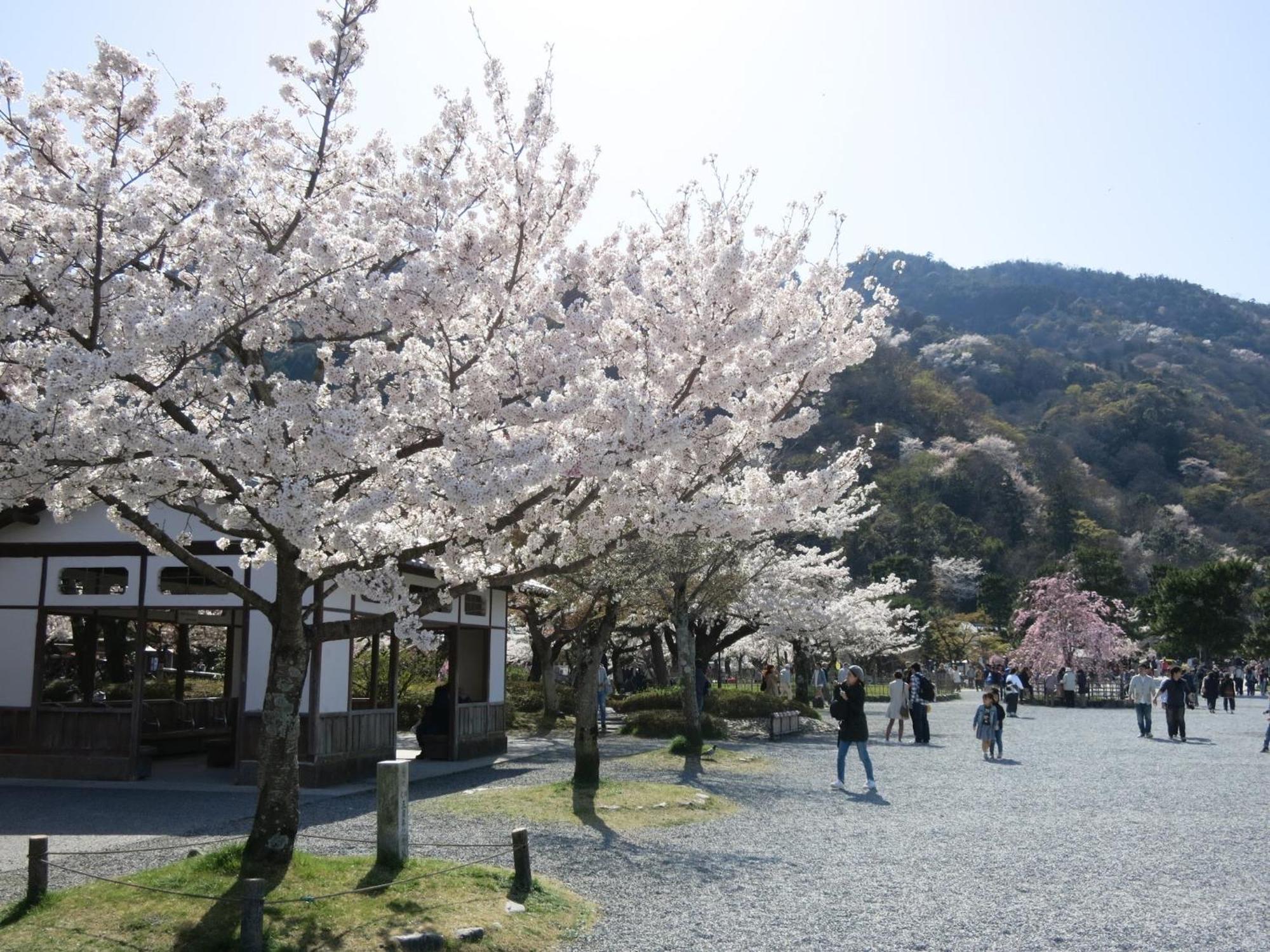 Aparthotel The Grandwest Arashiyama Kioto Zewnętrze zdjęcie